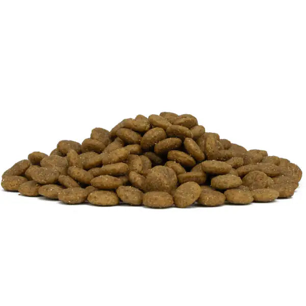 Forza10 Maintenance All Breeds Adult Maiale   bauzaarit.myshopify.com