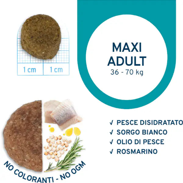Forza10 Maintenance Maxi Adult al Pesce   bauzaarit.myshopify.com