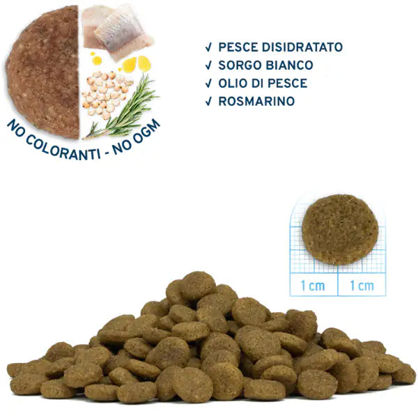 Forza10 Maintenance Medium Adult al Pesce   bauzaarit.myshopify.com