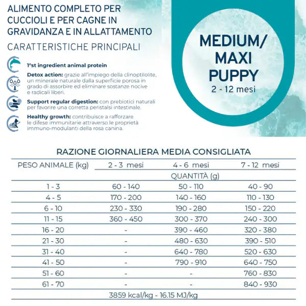 Forza10 Maintenance Puppy Junior Medium/Large al Pesce   bauzaarit.myshopify.com