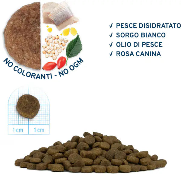 Forza10 Maintenance Puppy Junior Medium/Large al Pesce   bauzaarit.myshopify.com