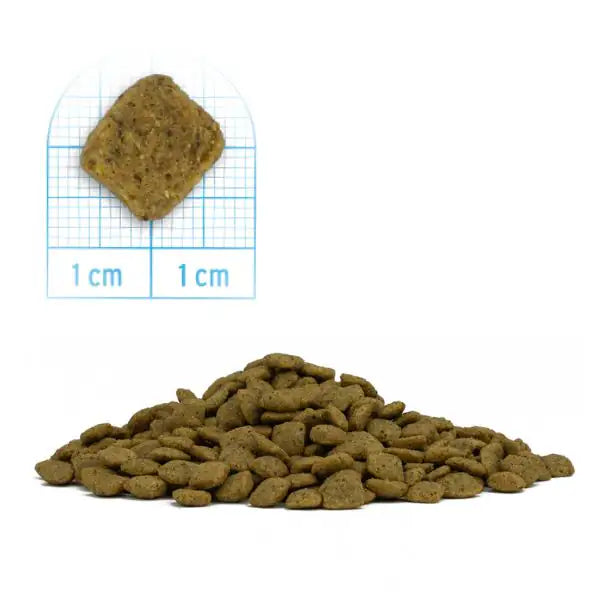 Forza10 MonoDiet All Breed Adult Hypoallergenic Vegetale Bio   bauzaarit.myshopify.com