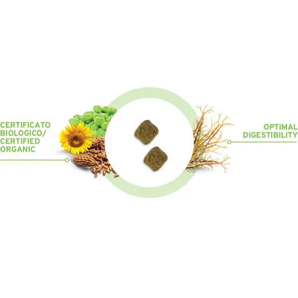 Forza10 MonoDiet All Breed Adult Hypoallergenic Vegetale Bio   bauzaarit.myshopify.com