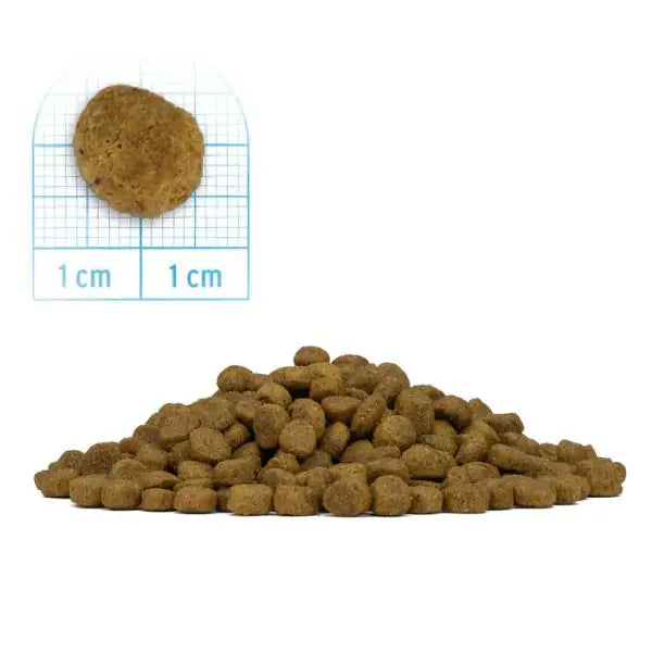 Forza10 MonoDiet Mini Adult Low Grain Hypoallergenic Cervo con patate   bauzaarit.myshopify.com
