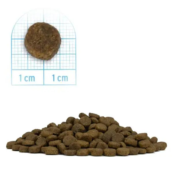 Forza10 MonoDiet Mini Adult Low Grain Hypoallergenic Pesce   bauzaarit.myshopify.com