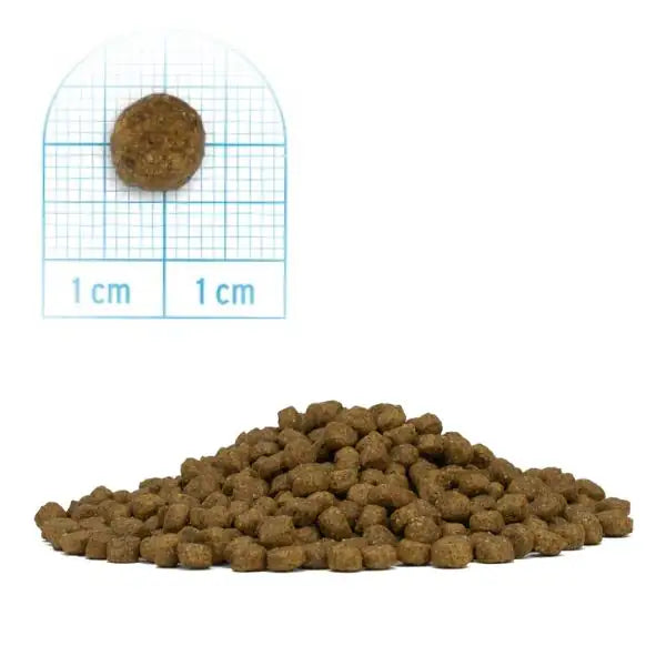 Forza10 MonoDiet Mini/Toy Adult Low Grain Hypoallergenic Cavallo e piselli   bauzaarit.myshopify.com