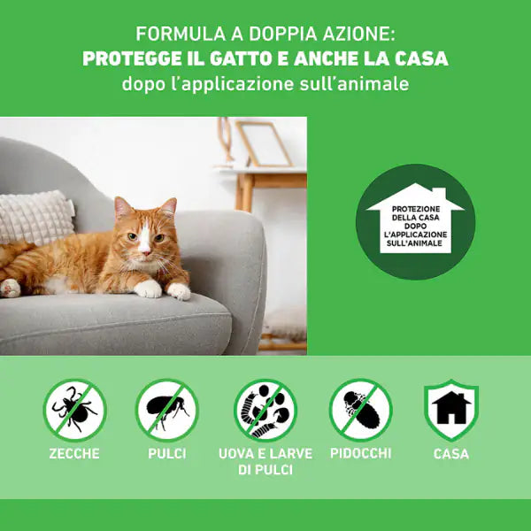 Frontline Combo Spot-On antiparassitario per gatti   bauzaarit.myshopify.com