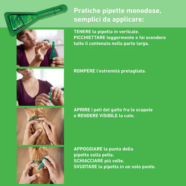 Frontline Combo Spot-On antiparassitario per gatti   bauzaarit.myshopify.com