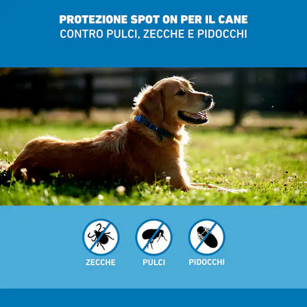 Frontline Spot On Cani antiparassitario per cani   bauzaarit.myshopify.com