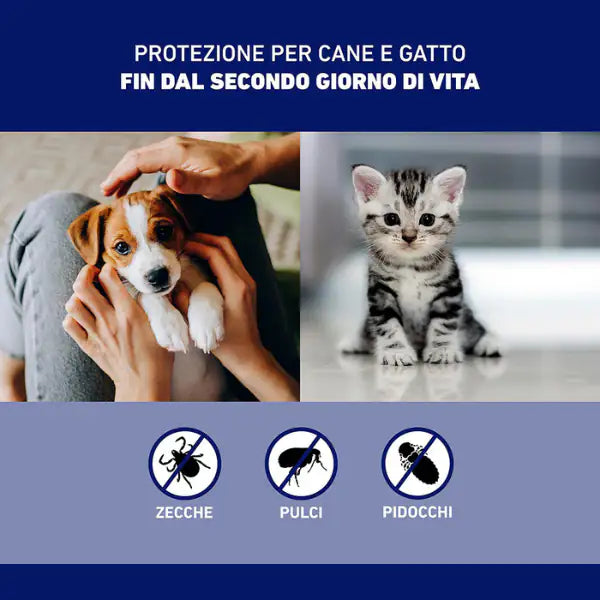 Frontline Spray antiparassitario Protezione cane e gatto   bauzaarit.myshopify.com