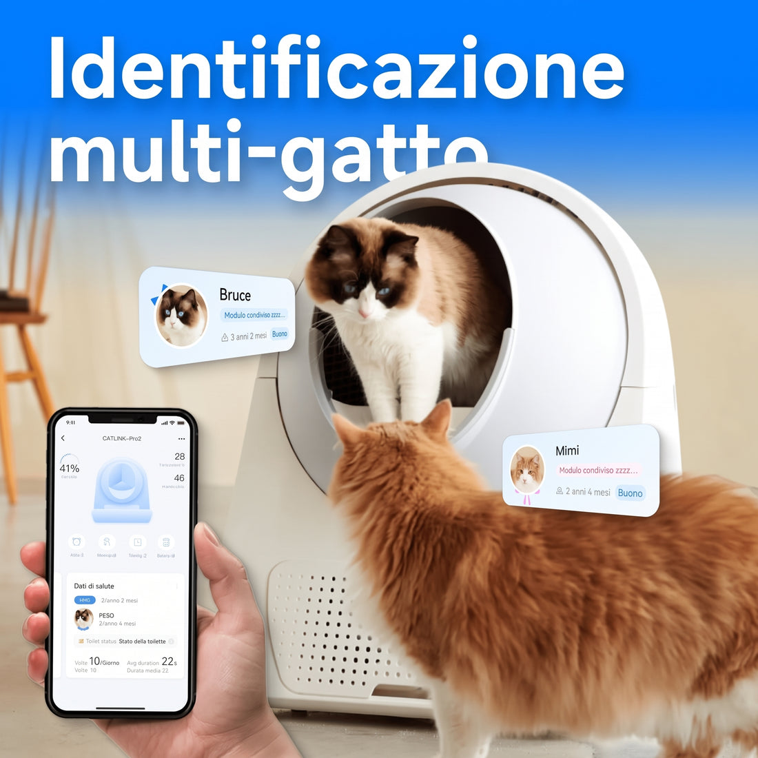 Unica lettiera per più gatti