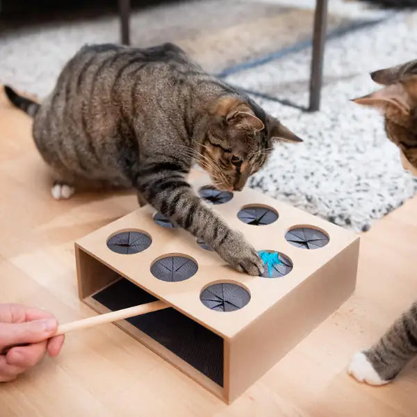 Gioco di abilità per gatti cattura il topo in robusto legno CanadianCat   bauzaarit.myshopify.com