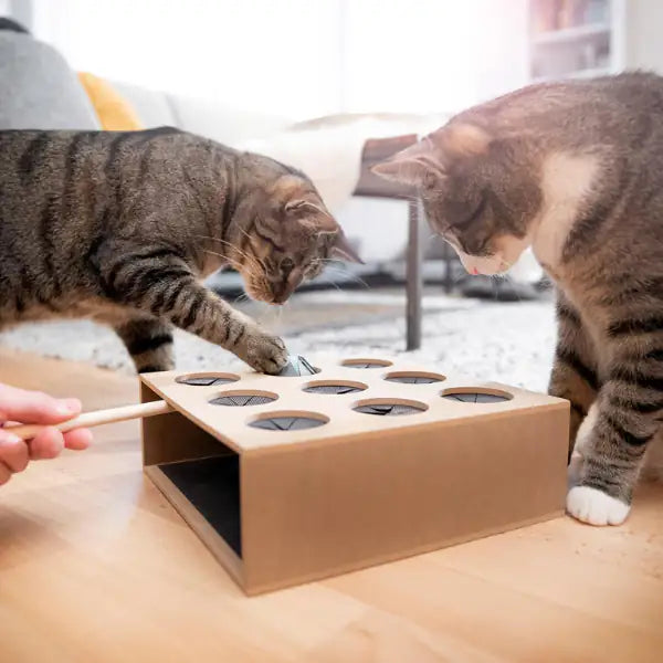 Gioco di abilità per gatti cattura il topo in robusto legno CanadianCat   bauzaarit.myshopify.com