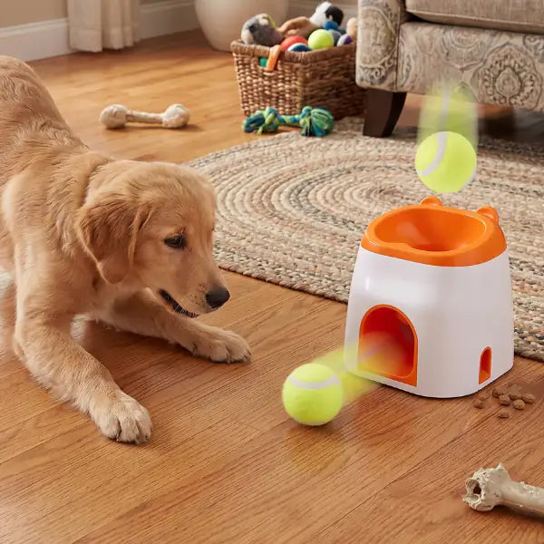 Gioco interattivo per cani con palla da tennis IMAC   Bauzaar.it