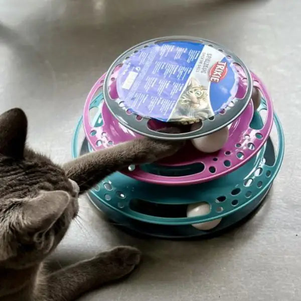 Gioco interattivo per gatti Catch the Balls Trixie   bauzaarit.myshopify.com