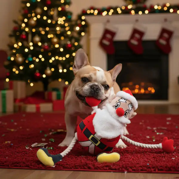 Gioco per cani con corda e squeaker Xmas Eco Claus Croci   bauzaarit.myshopify.com