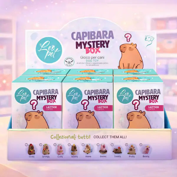 Gioco per cani in lattice Capibara Mystery Box Leopet   Bauzaar.it