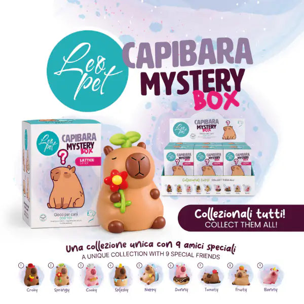 Gioco per cani in lattice Capibara Mystery Box Leopet   Bauzaar.it