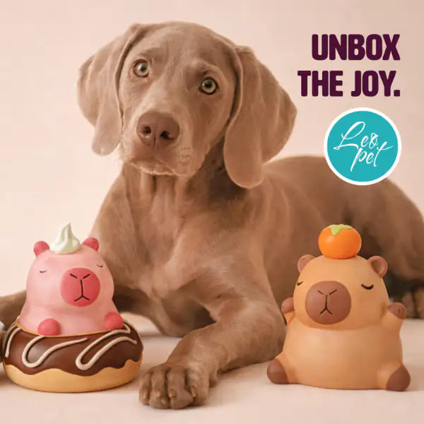 Gioco per cani in lattice Capibara Mystery Box Leopet   Bauzaar.it