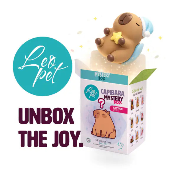 Gioco per cani in lattice Capibara Mystery Box Leopet   Bauzaar.it