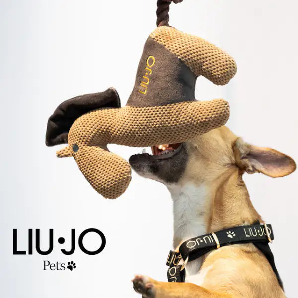 Gioco per cani texture nido d'ape con inserti in peluche Liu Jo Pets   Bauzaar.it
