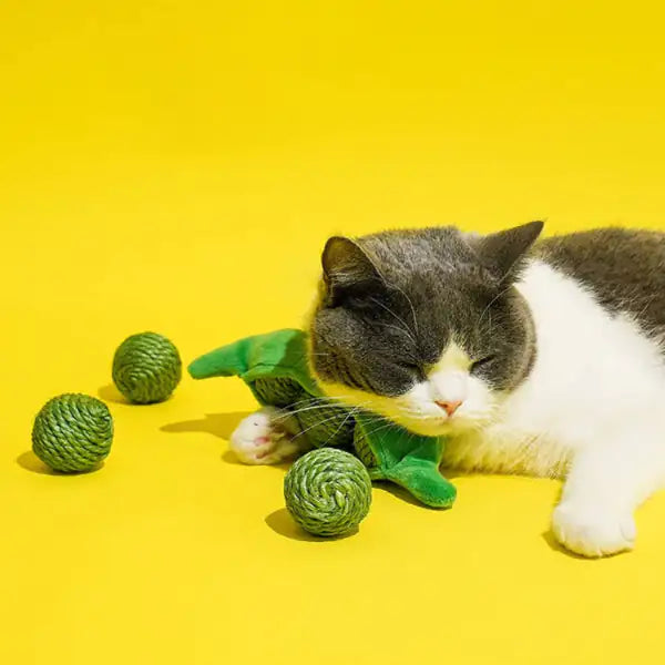 Gioco per gatti Baccello di Pisellini con palline Catnip estraibili Leopet   bauzaarit.myshopify.com