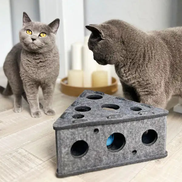 Gioco per gatti dall'intrattenimento prolungato in feltro CanadianCat   bauzaarit.myshopify.com