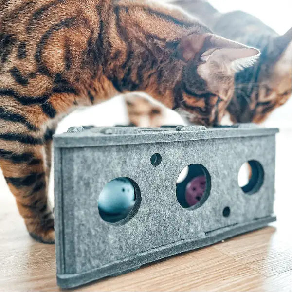 Gioco per gatti dall'intrattenimento prolungato in feltro CanadianCat   bauzaarit.myshopify.com