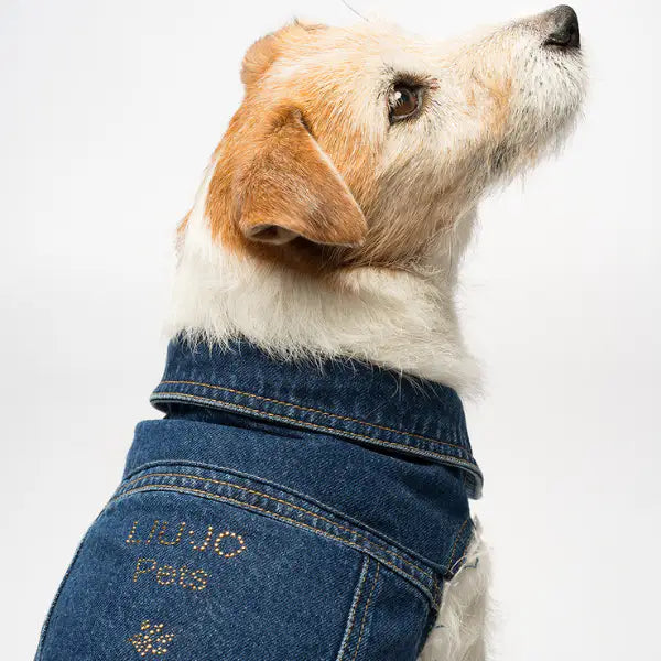Giubbotto per cani Denim in jeans Liu Jo Pets   Bauzaar.it