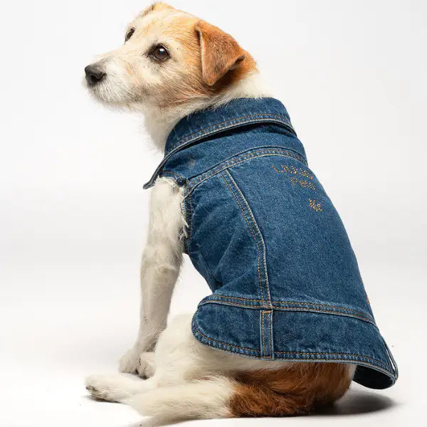 Giubbotto per cani Denim in jeans Liu Jo Pets   Bauzaar.it