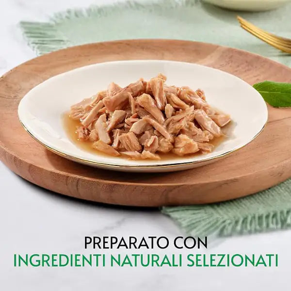Gourmet Nature's Creations trancetti in salsa 70 gr   bauzaarit.myshopify.com