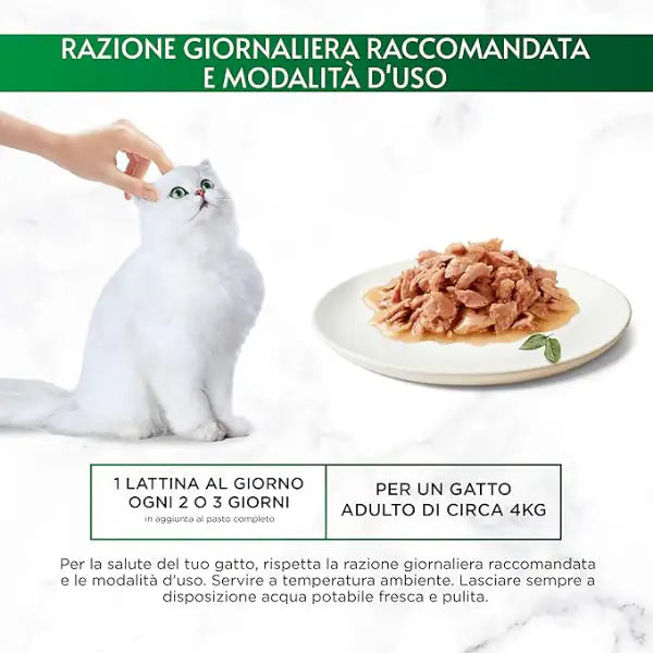 Gourmet Nature's Creations trancetti in salsa 70 gr   bauzaarit.myshopify.com