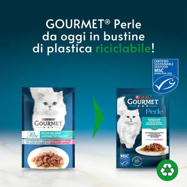 Gourmet le Perle Filettini in Salsa 85 gr   bauzaarit.myshopify.com