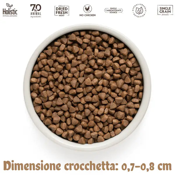 Grandorf Cat Adult Indoor Hypoallergenic Agnello e tacchino   bauzaarit.myshopify.com