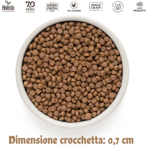 Grandorf Cat Sterilised Hypoallergenic multiproteico 4 carni   bauzaarit.myshopify.com