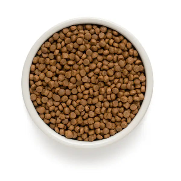 Grandorf Dog Puppy All Breeds Hypoallergenic Agnello e Tacchino   bauzaarit.myshopify.com
