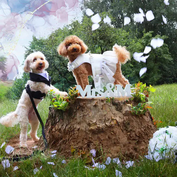 Guinzaglio per cani da cerimonia Croci Ceremony   bauzaarit.myshopify.com