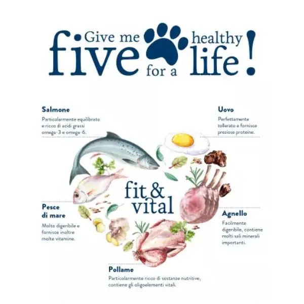 Happy Dog Fit & Vital Medium/Large Light   bauzaarit.myshopify.com