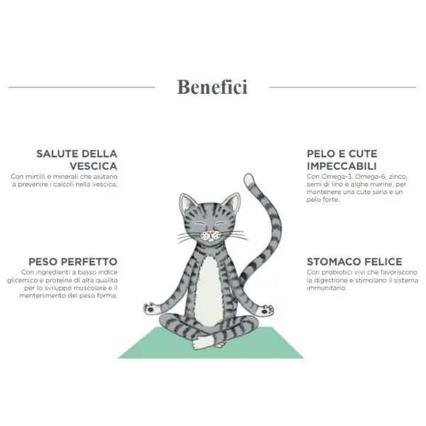 Harper and Bone Sterilised Cat Flavours of the farm   bauzaarit.myshopify.com