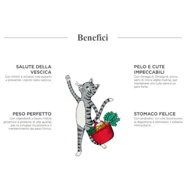 Harper and Bone Sterilised Cat Grain Free Fresh market   bauzaarit.myshopify.com