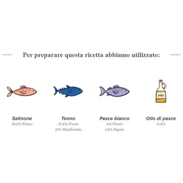 Harper and Bone Sterilised Cat Ocean wonders Pesce   bauzaarit.myshopify.com