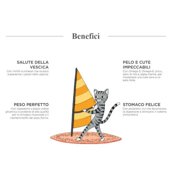 Harper and Bone Sterilised Cat Ocean wonders Pesce   bauzaarit.myshopify.com