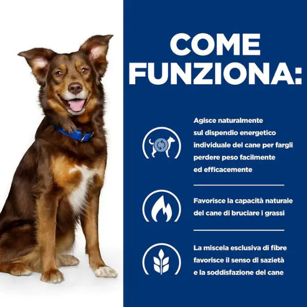 Hill's Prescription Diet Dog Metabolic con Agnello e riso   bauzaarit.myshopify.com