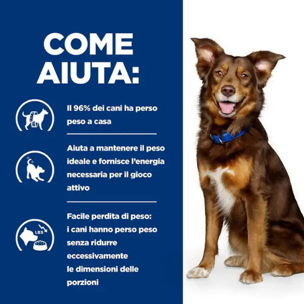 Hill's Prescription Diet Dog Metabolic con Agnello e riso   bauzaarit.myshopify.com
