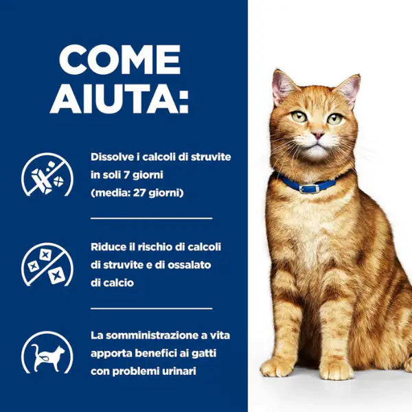 Hill's Prescription Diet Feline c/d Multicare 82 gr   bauzaarit.myshopify.com