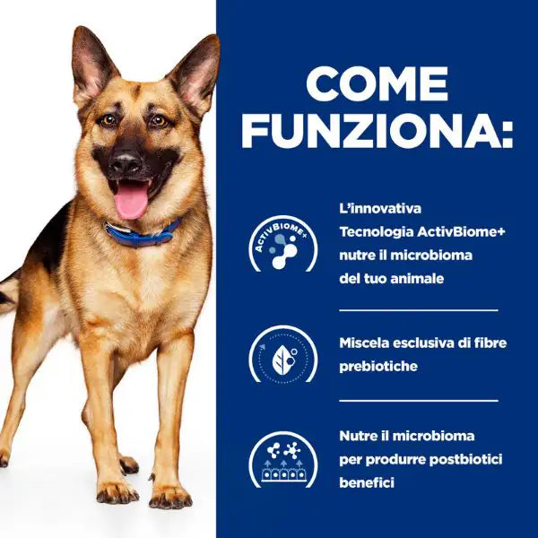 Hill's Prescription Diet Gastrointestinal Biome per cani 200 gr   bauzaarit.myshopify.com