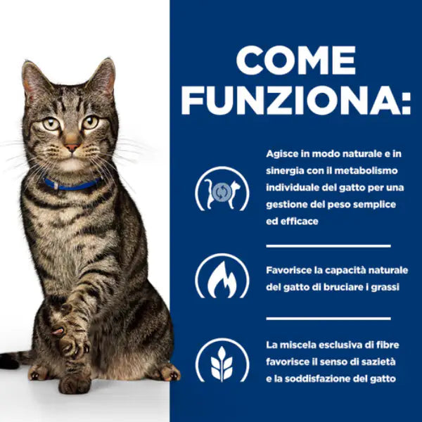 Hill's Prescription Diet Metabolic Feline Salmone   Bauzaar.it