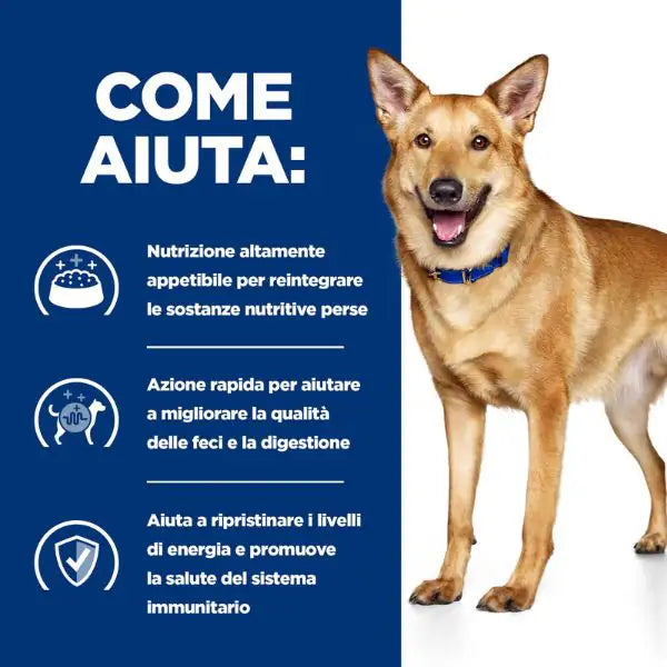 Hill's Prescription Diet i/d Canine 200 gr   bauzaarit.myshopify.com