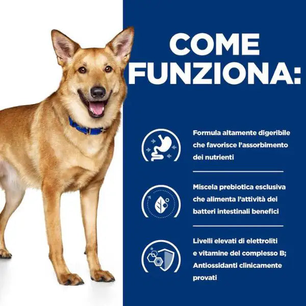 Hill's Prescription Diet i/d Canine 360 gr   bauzaarit.myshopify.com