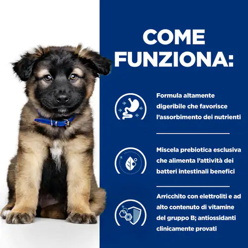 Hill's Prescription Diet i/d Puppy Pollo   bauzaarit.myshopify.com